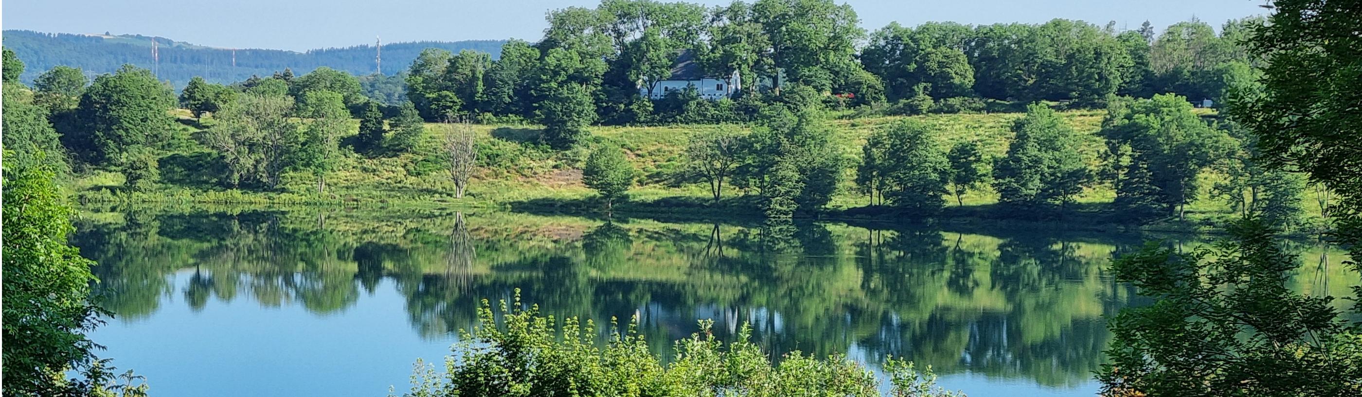 Pastoraler Raum Daun