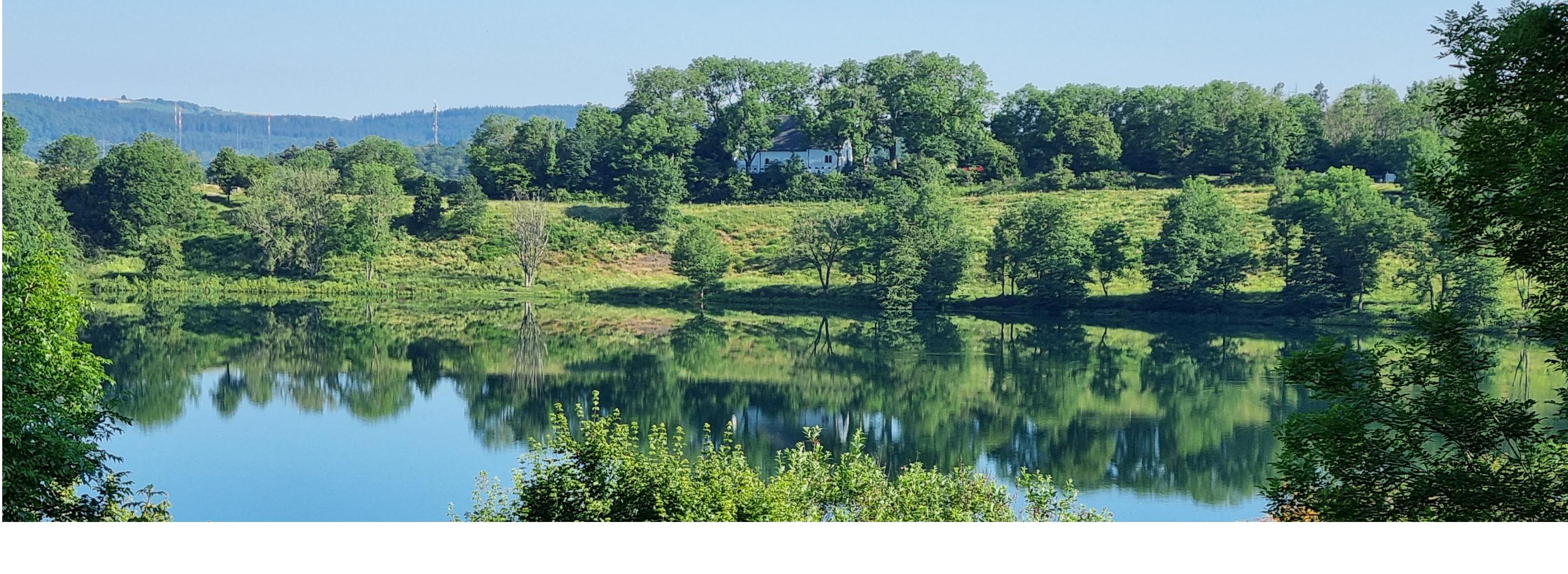 Pastoraler Raum Daun