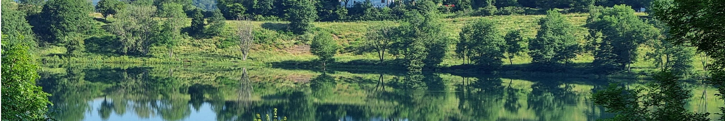 Pastoraler Raum Daun