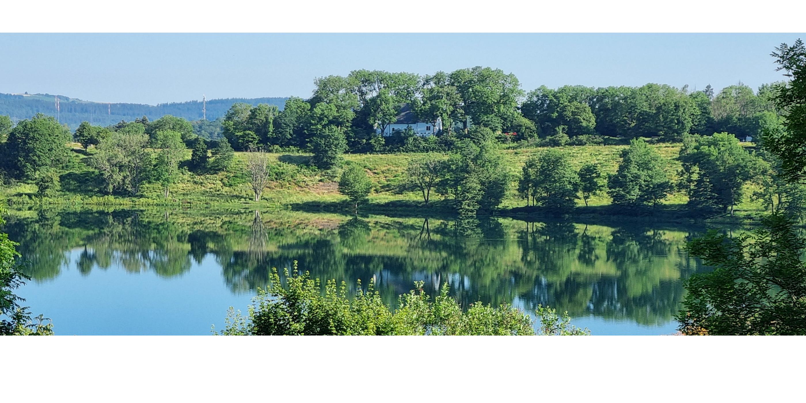 Pastoraler Raum Daun