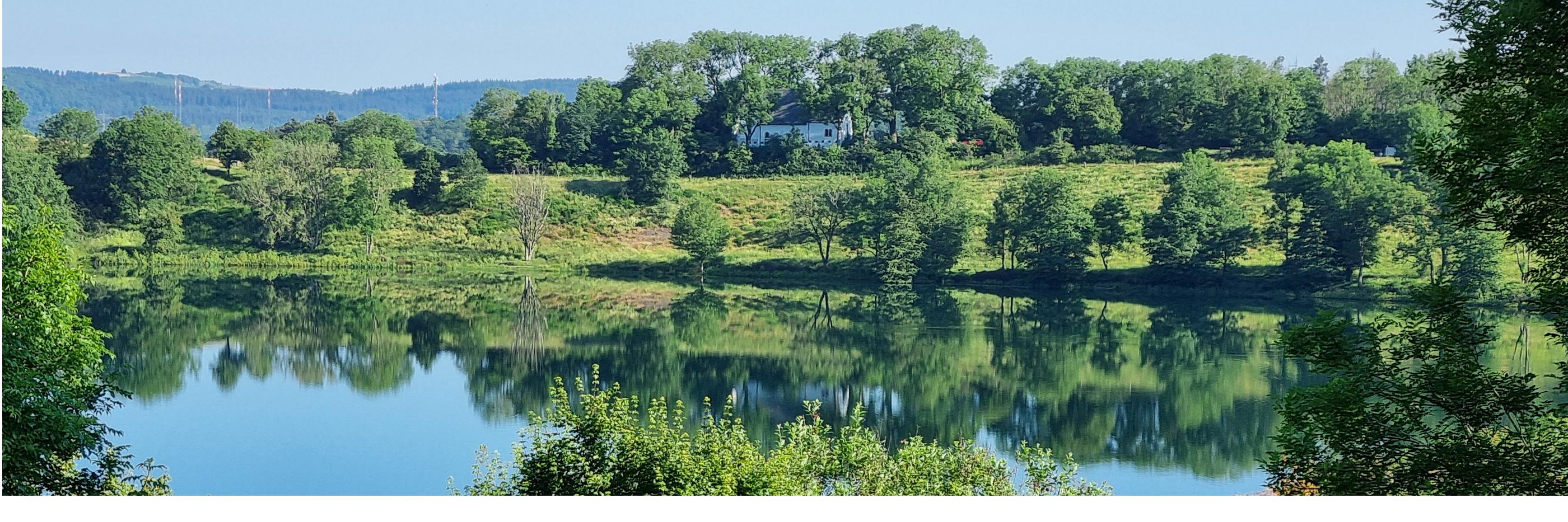 Pastoraler Raum Daun