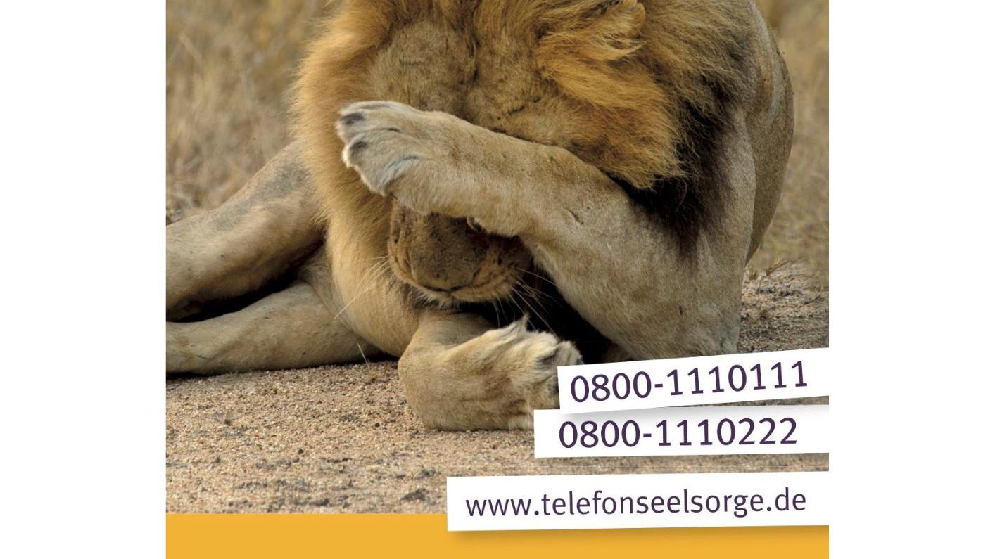 Vortrag Telefonseelsorge