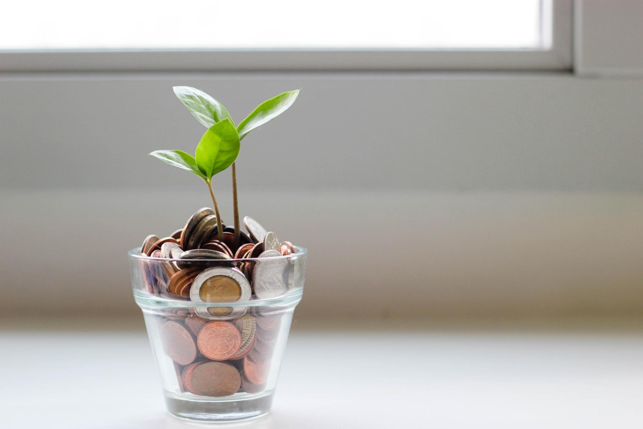 aus Glas mit Münzgeld wächst Pflanze