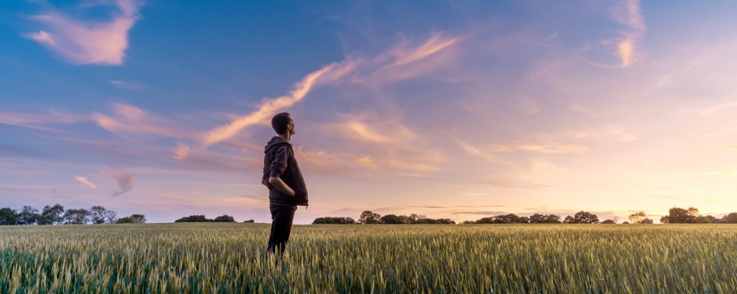 Ein Mann steht in einem Feld und schaut ins Weite. Der Himmel zeigt vereinzelt Wölkchen und ist zart violett gefärbt