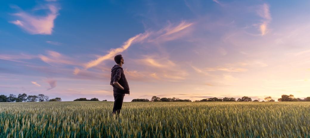 Ein Mann steht in einem Feld und schaut ins Weite. Der Himmel zeigt vereinzelt Wölkchen und ist zart violett gefärbt