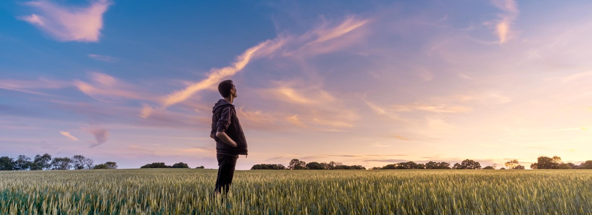 Ein Mann steht in einem Feld und schaut ins Weite. Der Himmel zeigt vereinzelt Wölkchen und ist zart violett gefärbt