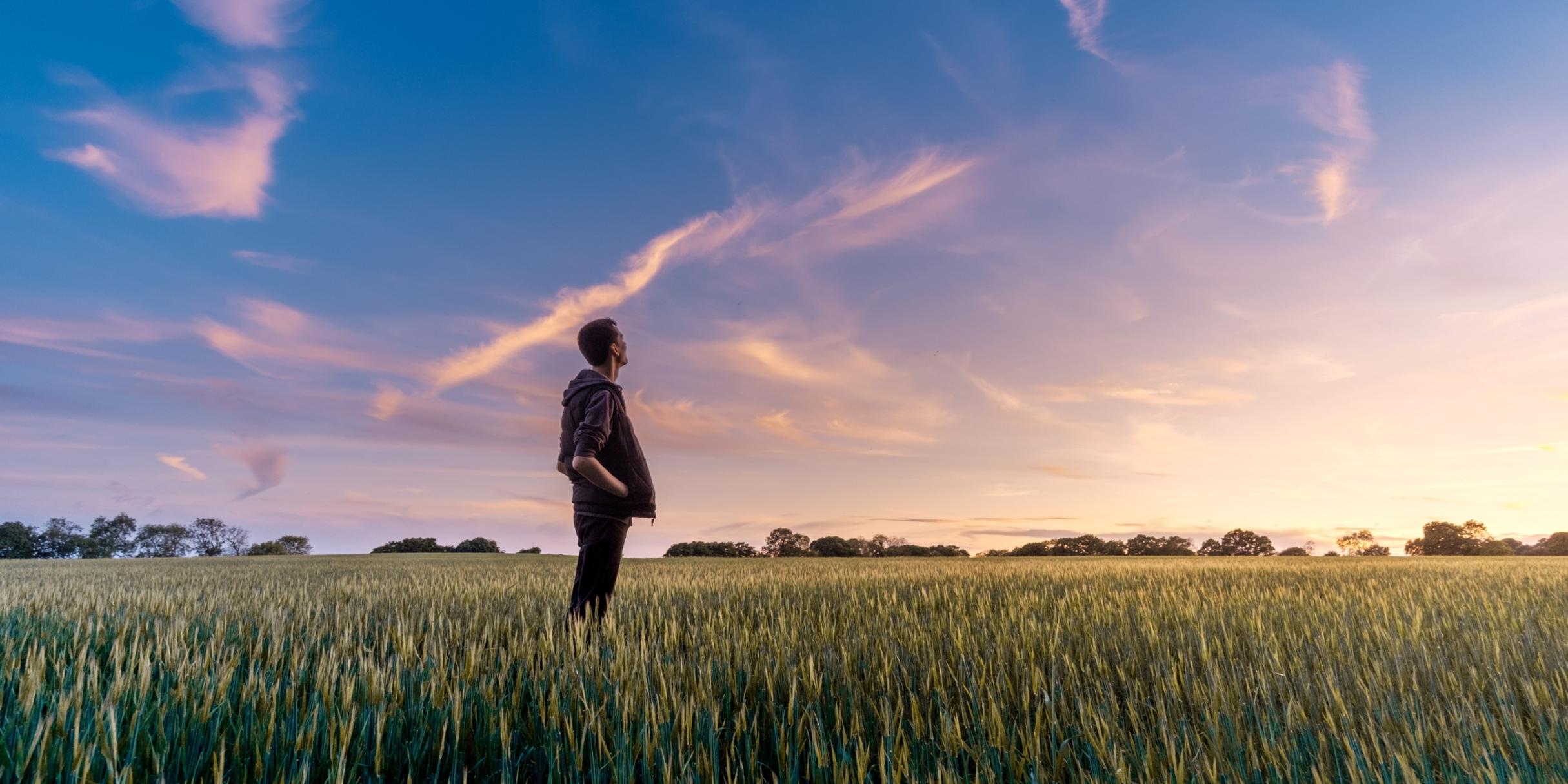 Ein Mann steht in einem Feld und schaut ins Weite. Der Himmel zeigt vereinzelt Wölkchen und ist zart violett gefärbt