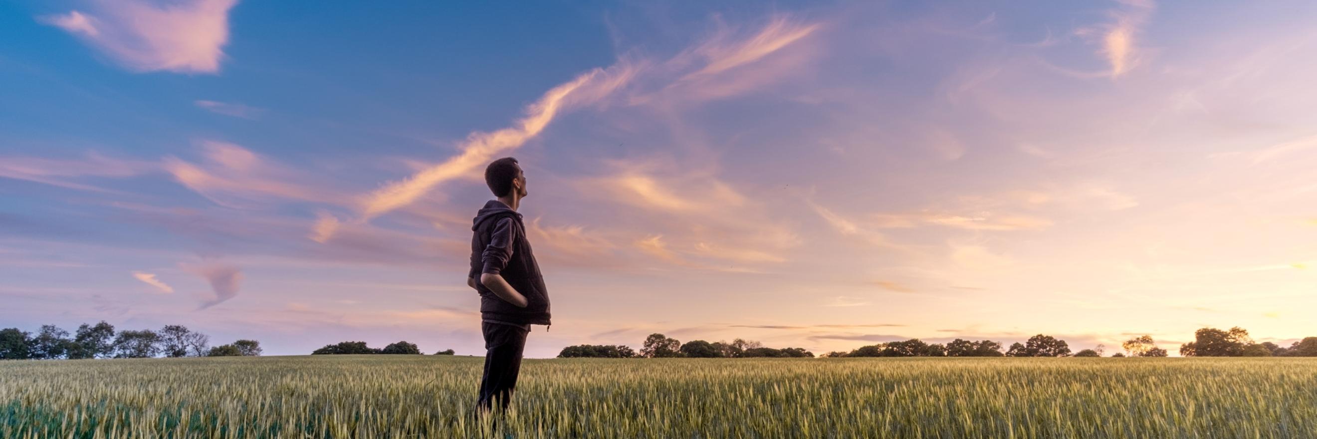 Ein Mann steht in einem Feld und schaut ins Weite. Der Himmel zeigt vereinzelt Wölkchen und ist zart violett gefärbt